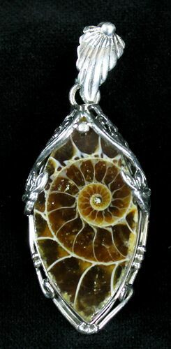 Ammonite Fossil Pendant - Sterling Silver #21043